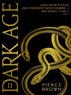 cover image of Dark Age partie 2